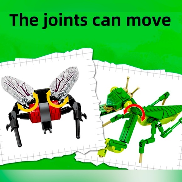 Mantis Insect Series Collection - Picture 3 of 3